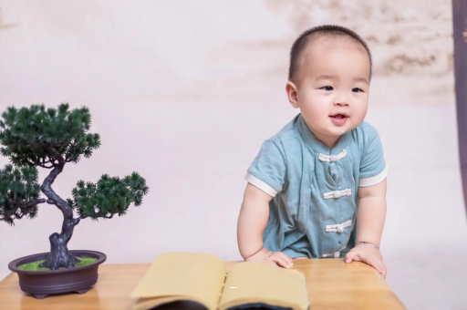东至可爱的企鹅宝宝